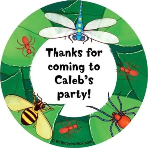 Bug Party Invitation Template Bugs Stickers Stickers & Party Supplies