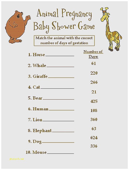 Cheap Safari Baby Shower Invitations Baby Shower Invitation Best Cheap Safari Baby Shower