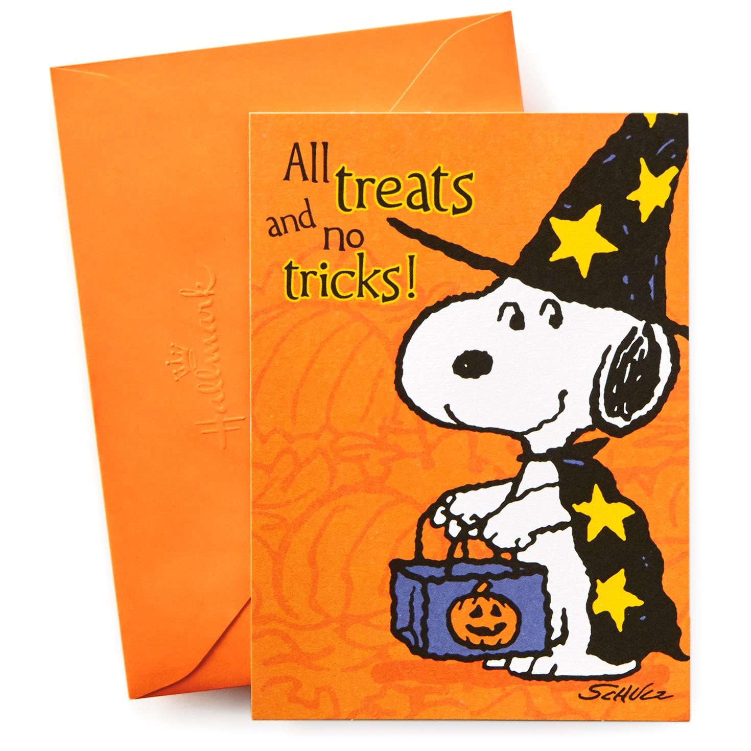 Hallmark Halloween Party Invitations Peanuts Halloween Party Invitations 10 Invitations