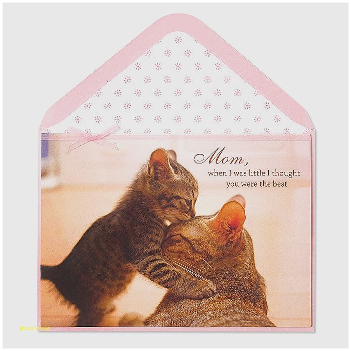 Papyrus Baby Shower Invitations Baby Shower Invitation Lovely Baby Shower Invitations Papyrus Baby Shower Invitations Baby Shower Invitation Lovely Baby Shower Invitations