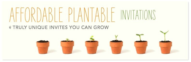 Inexpensive Plantable Wedding Invitations Inexpensive Seeded Paper Invitations Cheap and Affordable