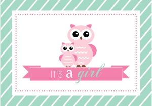 Blank Owl Baby Shower Invitations Mint and Pink Owls Girl Baby Shower Fill In the Blank