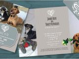Dog Wedding Invitations Dogs Pet Wedding Invitation Invites I Designed
