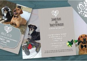 Dog Wedding Invitations Dogs Pet Wedding Invitation Invites I Designed