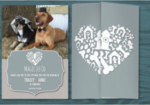 Dog Wedding Invitations where Can I Buy Synthroid Online Buy Here Gt Gt Excellent