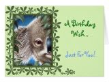 Koala Birthday Invitation Template Curios Koala Birthday Card Zazzle Com Au