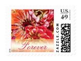 Love Stamps for Wedding Invitations Colorful forever Love Wedding Invitation Stamps Zazzle