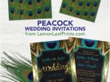 Peacock Wedding Invitation Sets Party Simplicity Peacock Wedding Invitation Sets Party