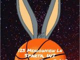 Space Jam Party Invitations Space Jam and Spaces On Pinterest