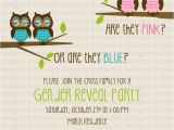 Twin Gender Reveal Party Invitations Twins Gender Reveal Invitation Owl Baby Katiedid Designs