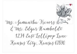 Wedding Envelope Fonts 10 Stunning Modern Calligraphy Fonts for Weddings
