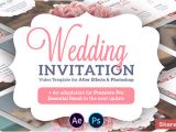 Wedding Invitation Template Ae Free Videohive Wedding Invitation Free after Effects